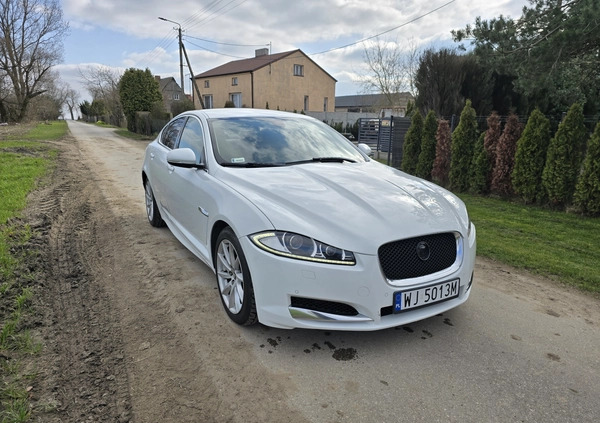 Jaguar XF cena 46500 przebieg: 206250, rok produkcji 2012 z Kutno małe 121